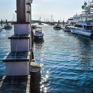 Meet your Posher, Jo